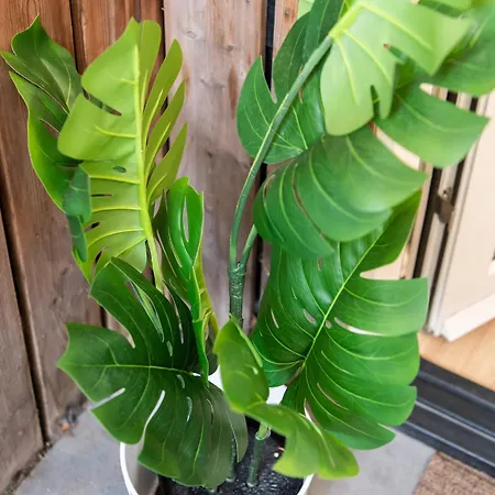 North With Patio For 2 *