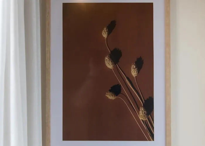 North With Patio For 2 Apartament *