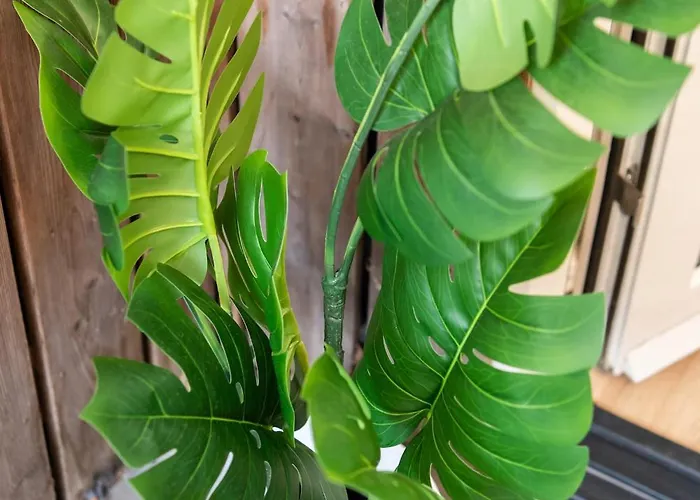 North With Patio For 2 *